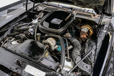 1979 Pontiac Firebird Trans Am SE WS6