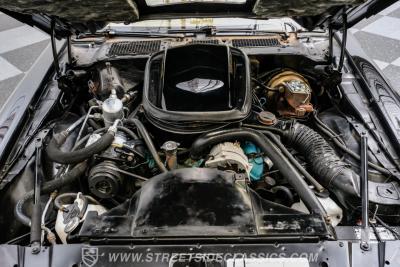 1979 Pontiac Firebird Trans Am SE WS6