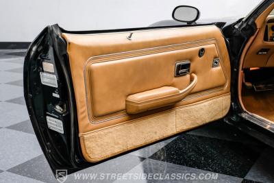 1979 Pontiac Firebird Trans Am SE WS6