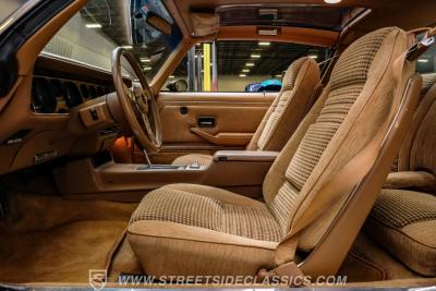 1979 Pontiac Firebird Trans Am SE WS6