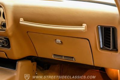 1979 Pontiac Firebird Trans Am SE WS6