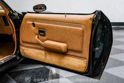 1979 Pontiac Firebird Trans Am SE WS6