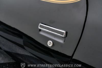 1979 Pontiac Firebird Trans Am SE WS6