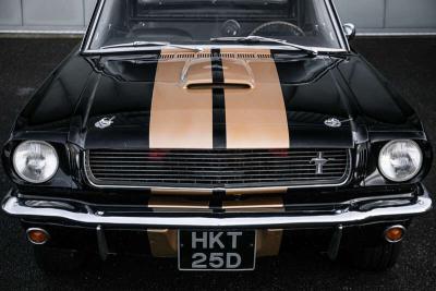 1966 Shelby MUSTANG