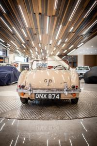 1954 Austin - Healey 100/4