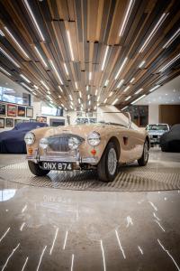 1954 Austin - Healey 100/4