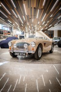 1954 Austin - Healey 100/4