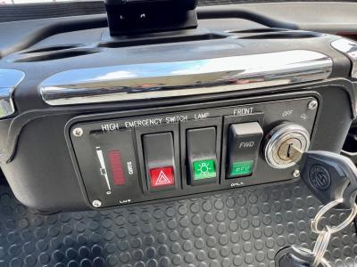 2019 Olympus Golf Cart