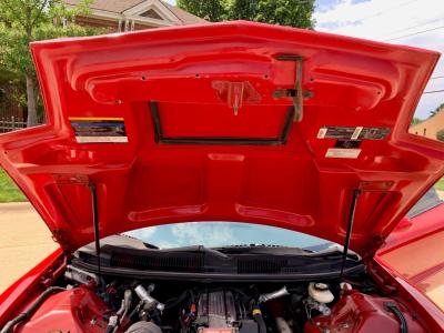 1994 Pontiac Firehawk - Trans Am