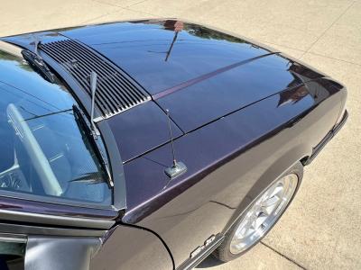 1989 Ford Mustang LX 5.0