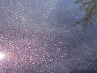 1989 Ford Mustang LX 5.0