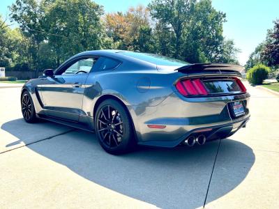 2017 Ford Mustang GT350