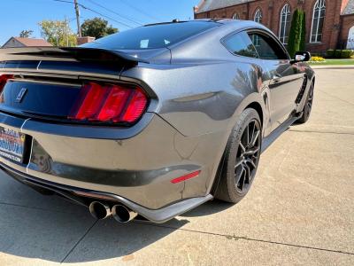 2017 Ford Mustang GT350
