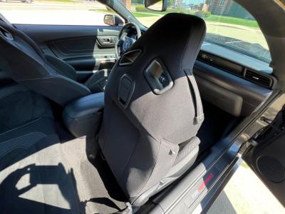 2017 Ford Mustang GT350