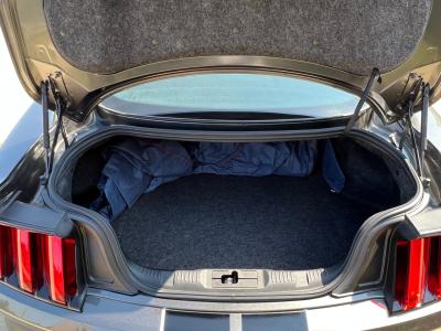 2017 Ford Mustang GT350