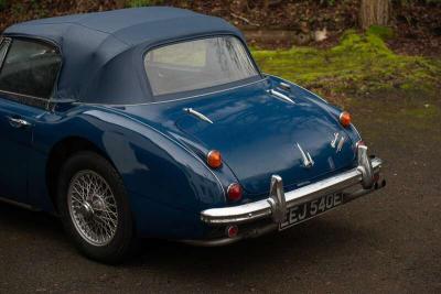 1967 Austin - Healey 3000
