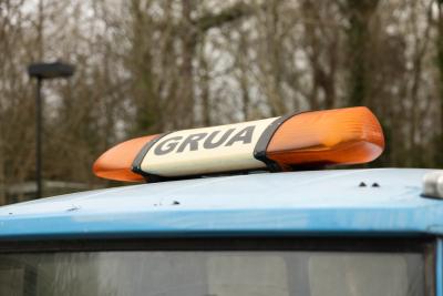 1982 Mercedes - Benz 608D (Flatbed)