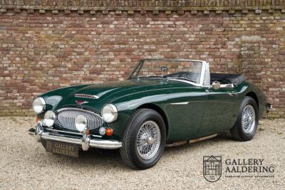 1966 Austin - Healey 3000 Mk3 Fase 2