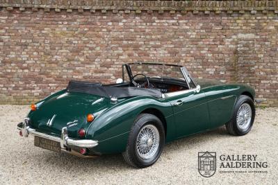 1966 Austin - Healey 3000 Mk3 Fase 2