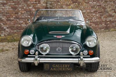 1966 Austin - Healey 3000 Mk3 Fase 2
