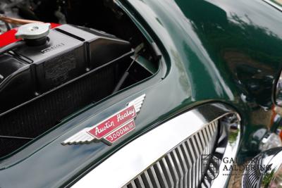 1966 Austin - Healey 3000 Mk3 Fase 2