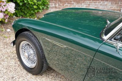 1966 Austin - Healey 3000 Mk3 Fase 2