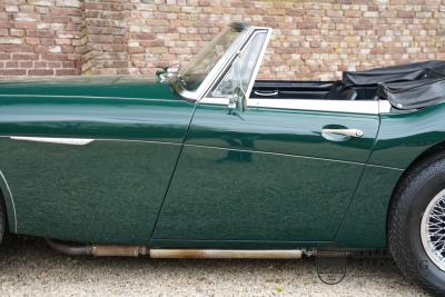 1966 Austin - Healey 3000 Mk3 Fase 2
