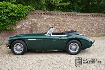 1966 Austin - Healey 3000 Mk3 Fase 2