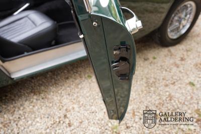 1966 Austin - Healey 3000 Mk3 Fase 2