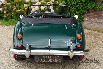 1966 Austin - Healey 3000 Mk3 Fase 2