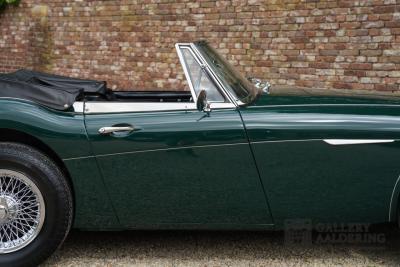 1966 Austin - Healey 3000 Mk3 Fase 2