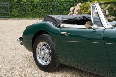 1966 Austin - Healey 3000 Mk3 Fase 2
