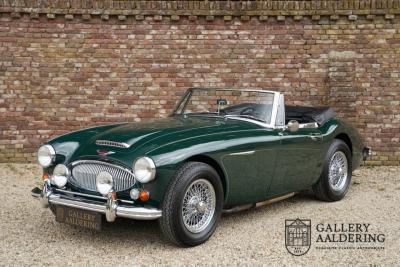 1966 Austin - Healey 3000 Mk3 Fase 2