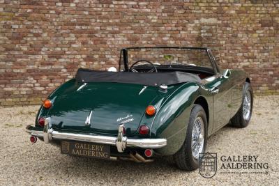 1966 Austin - Healey 3000 Mk3 Fase 2