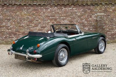 1966 Austin - Healey 3000 Mk3 Fase 2