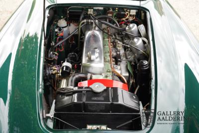 1966 Austin - Healey 3000 Mk3 Fase 2