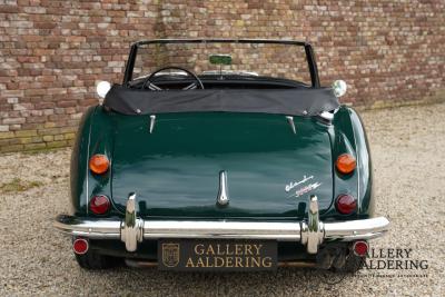 1966 Austin - Healey 3000 Mk3 Fase 2