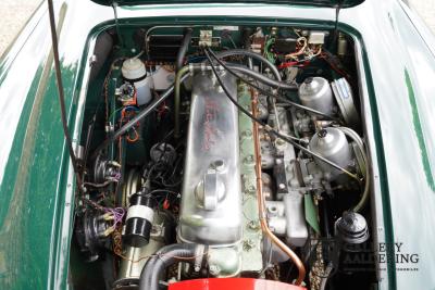 1966 Austin - Healey 3000 Mk3 Fase 2