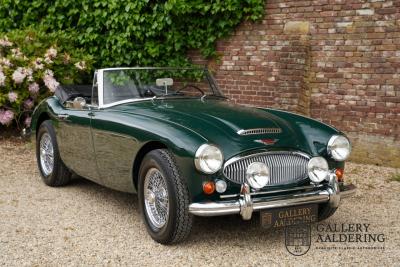 1966 Austin - Healey 3000 Mk3 Fase 2