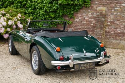 1966 Austin - Healey 3000 Mk3 Fase 2