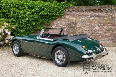 1966 Austin - Healey 3000 Mk3 Fase 2