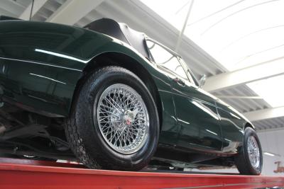 1966 Austin - Healey 3000 Mk3 Fase 2