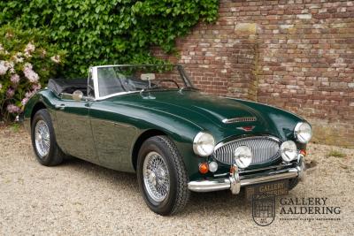 1966 Austin - Healey 3000 Mk3 Fase 2