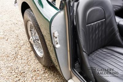 1966 Austin - Healey 3000 Mk3 Fase 2