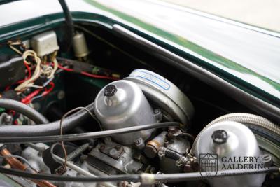 1966 Austin - Healey 3000 Mk3 Fase 2
