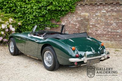1966 Austin - Healey 3000 Mk3 Fase 2