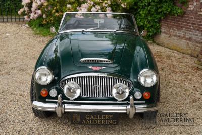1966 Austin - Healey 3000 Mk3 Fase 2