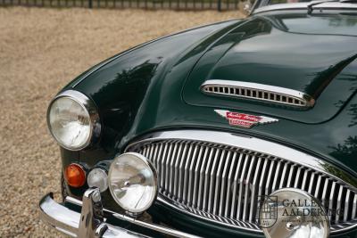 1966 Austin - Healey 3000 Mk3 Fase 2