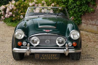 1966 Austin - Healey 3000 Mk3 Fase 2