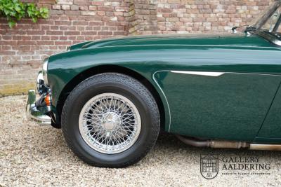 1966 Austin - Healey 3000 Mk3 Fase 2